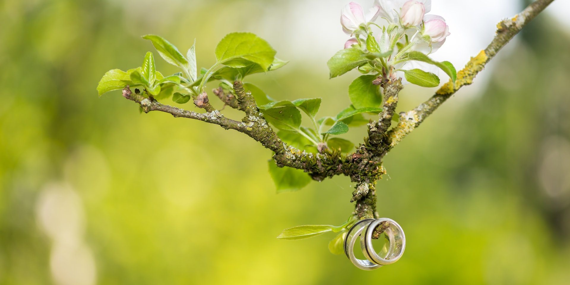 Delaying the Divorce Process