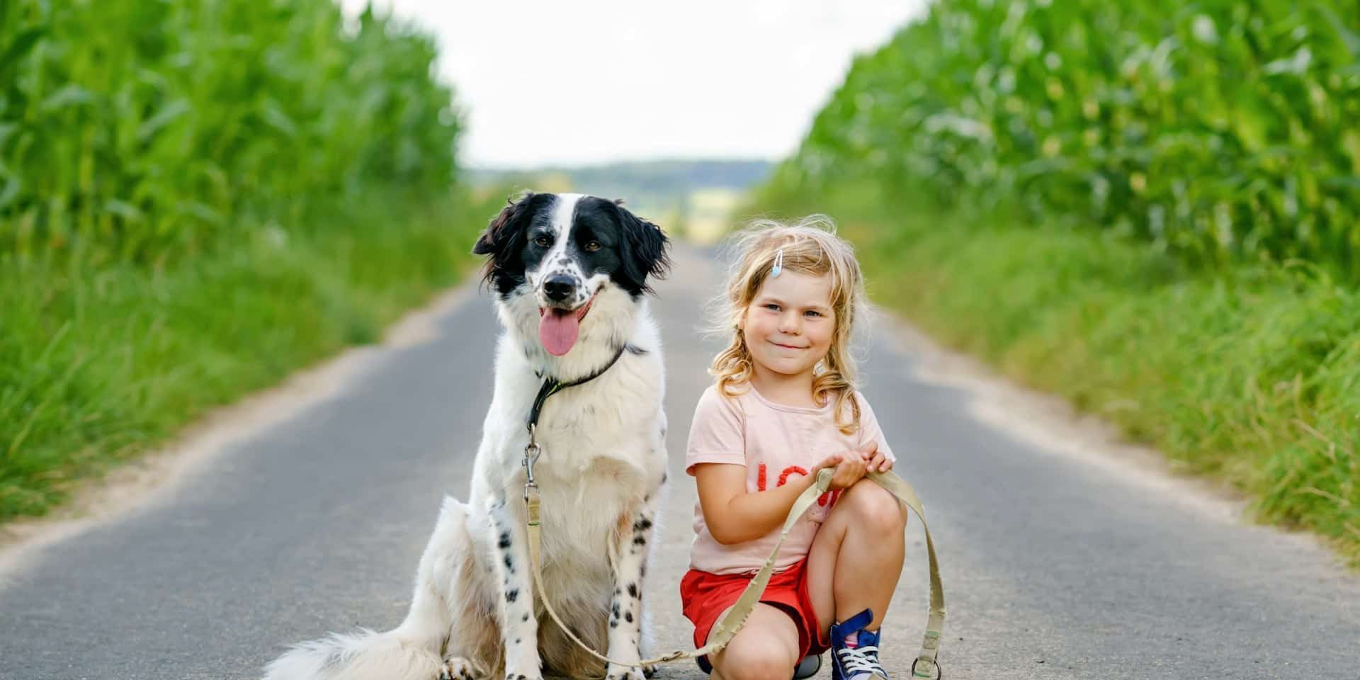 Pet Custody Agreement