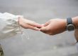 Cohabitation Agreement