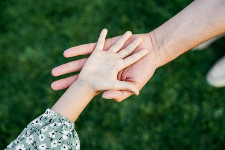 Guardianship and Adoption